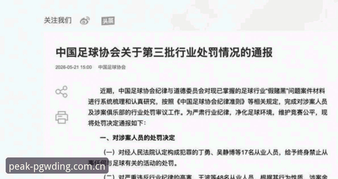 中国足协第三批禁足名单最新动态：17人终身禁赛，48人受罚——PG问鼎用户热议行业震荡